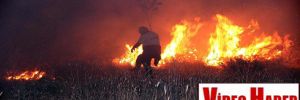 Erciyes Dağı eteklerinde korkutan yangın