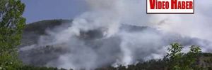 Karabük’te 8 hektar ormanlık alan yandı