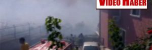 Beykoz’da orman yangını