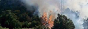 Piknik ateşi ormanı yaktı: 3 gözaltı