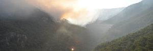 İzmir’de ormanlık alanda yangın!… Söndürme çalışmaları sürüyor!