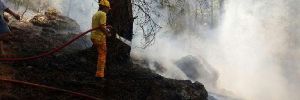Ortaca’da orman yangını!