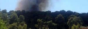 Antalya Aksu’da orman yangını