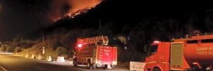 Edremit’te orman yangını