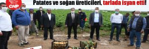 Patates ve soğan üreticileri, tarlada isyan etti! CHP’li Barut: İthalat engellensin, ihracatın önü açılsın!