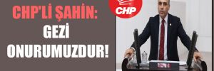 CHP’li Şahin: Gezi onurumuzdur!