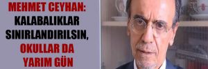 Prof. Dr. Mehmet Ceyhan: Kalabalıklar sınırlandırılsın, okullar da yarım gün eğitime dönsün!