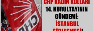 CHP Kadın Kolları 14. kurultayının gündemi: İstanbul Sözleşmesi!