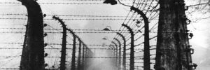 Roman ve Sinti Soykırımının 76. yıldönümü: Amsterdamlı Romanlar Auschwitz’e gönderilmekten nasıl kurtuldu?