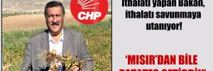 CHP’li Gürer: İthalatı yapan Bakan, ithalatı savunmaya utanıyor!