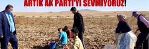 Patates üreticisi isyanları oynuyor: Artık AK Parti’yi sevmiyoruz!