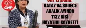 CHP’li Şahin: Hatay’da sadece Aralık ayında 1132 kişi hayatını kaybetti