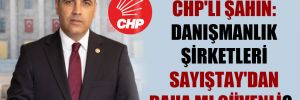 CHP’li Şahin: Danışmanlık şirketleri Sayıştay’dan daha mı güvenli?