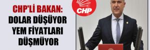 CHP’li Bakan: Dolar düşüyor yem fiyatları düşmüyor