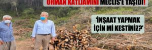 CHP’li Antmen, Mersin’deki orman katliamını Meclis’e taşıdı!