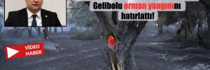 CHP’li Ceylan, Bakan Pakdemirli’ye Gelibolu orman yangınını hatırlattı!