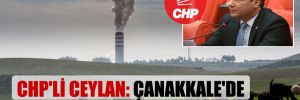 CHP’li Ceylan: Çanakkale’de kanserin kaynağı termikler!