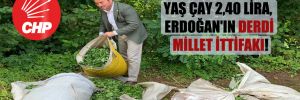 CHP’li Kaya: Yaş çay 2,40 Lira, Erdoğan’ın derdi Millet İttifakı!