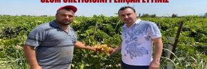 CHP’li Başevirgen’den Manisalı Tarım Bakanına sert tepki: Üzüm üreticisini perişan ettiniz