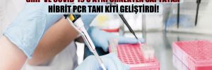 Türk bilim insanları, grip ve COVID-19’u aynı örnekten saptayan Hibrit PCR Tanı Kiti geliştirdi!