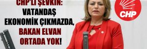 CHP’li Şevkin: Vatandaş ekonomik çıkmazda, Bakan Elvan ortada yok!