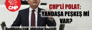 CHP’li Polat: Yandaşa peşkeş mi var?