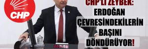 CHP’li Zeybek: Erdoğan çevresindekilerin başını döndürüyor!
