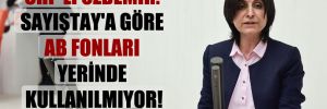 CHP’li Özdemir: Sayıştay’a göre AB Fonları yerinde kullanılmıyor!