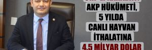 CHP’li Karabat: AKP hükümeti, 5 yılda canlı hayvan ithalatına 4.5 milyar dolar ödedi!