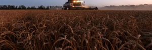 Rusya: Türkiye’ye rubleyle tahıl satışına yönelik ilk işlem başarıyla tamamlandı