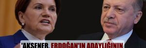 ‘Akşener, Erdoğan’ın adaylığının önünü açmak için çalışacaktır’