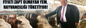 CHP’li Gürer: Fiyatı zapt olmayan yem, hayvancılığı tüketiyor! 