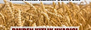 Tahıl krizi alarm veriyor!  Kıtlık uyarısı 