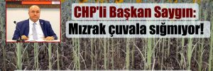 CHP’li Başkan Saygın: Mızrak çuvala sığmıyor! ‘Ayçiçek üretimi darbe aldı, iktidar izledi!’ 