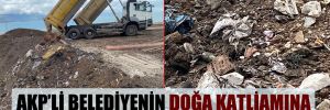 AKP’li belediyenin doğa katliamına bakanlık ‘dur’ dedi! 