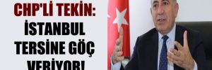 CHP’li Tekin: İstanbul tersine göç veriyor! 