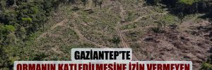 Gaziantep’te ormanın katledilmesine izin vermeyen Orman İşletme Şefi görevden alındı!