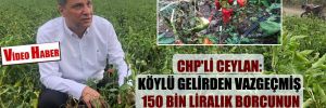 CHP’li Ceylan: Köylü gelirden vazgeçmiş 150 bin liralık borcunun derdinde!