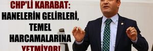 CHP’li Karabat: Hanelerin gelirleri, temel harcamalarına yetmiyor!
