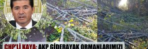 CHP’li Kaya: AKP giderayak ormanlarımızı paraya çevirmeye çalışıyor!