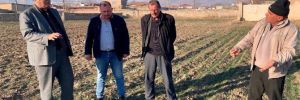 CHP’li Gürer: Kuraklık tohuma gün yüzü göstermedi! 