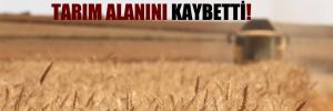 Türkiye 30 yılda, 5 milyon hektar tarım alanını kaybetti! 
