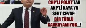 CHP’li Polat’tan AKP’li Kaya’ya sert cevap: bir türlü kavrayamıyor…!