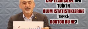 CHP’li Adıgüzel’den TÜİK’in ölüm istatistiklerine tepki: Doktor bu ne?