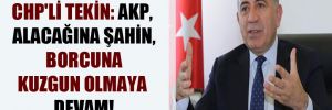 CHP’li Tekin: AKP, alacağına şahin, borcuna kuzgun olmaya devam! 