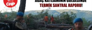 CHP’den Akbelen’deki ağaç katliamının gölgesinde termik santral raporu! 
