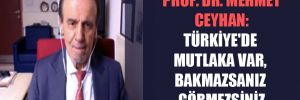 Prof. Dr. Mehmet Ceyhan: Türkiye’de mutlaka var, bakmazsanız görmezsiniz 