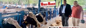 CHP’li Gürer: Hayvancılıkta ithalat da çözüm olmuyor!