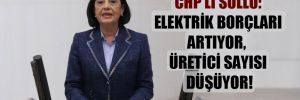 CHP’li Süllü: Elektrik borçları artıyor, üretici sayısı düşüyor!