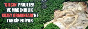 ‘Çılgın’ projeler ve madencilik Kuzey Ormanları’nı tahrip ediyor